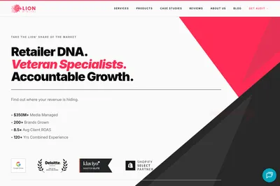 Screenshot of the LION Digital homepage