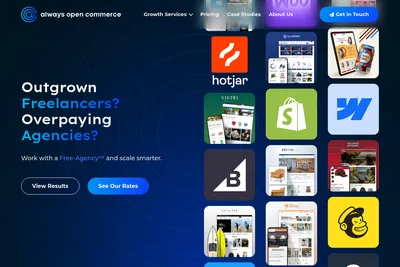 Screenshot of the Always Open Commerce homepage