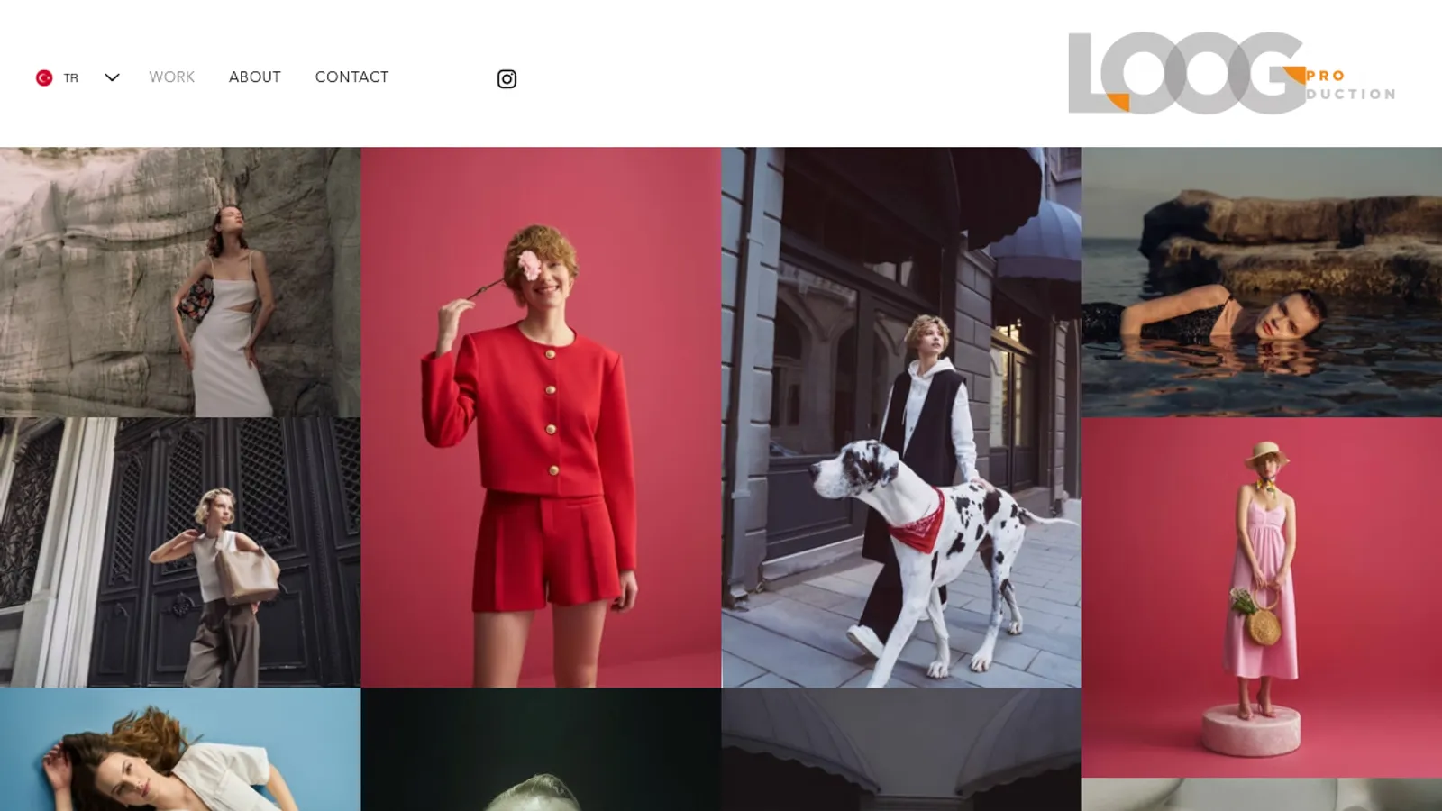 Screenshot of the LOOG PRODÜKSİYON LİMİTED ŞİRKETİ homepage