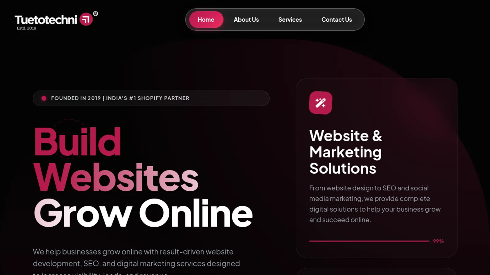 Screenshot of the Tuetotechni -Web development Expert In Jaipur homepage