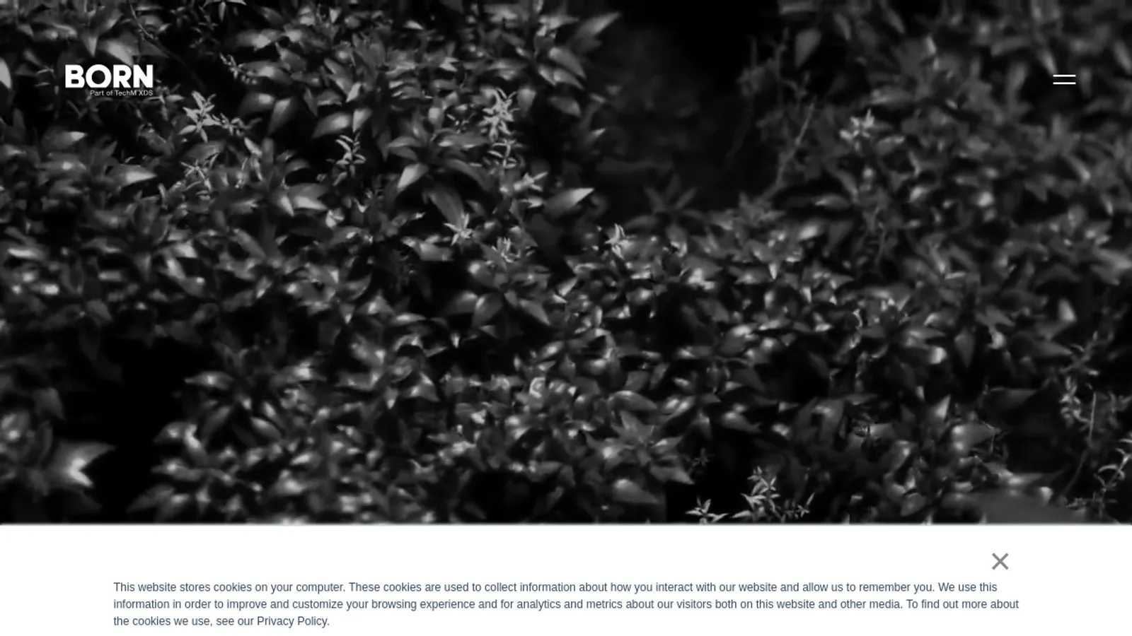 Screenshot of the BORN homepage