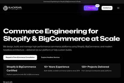 Screenshot of the Black Pearl Infosoft homepage