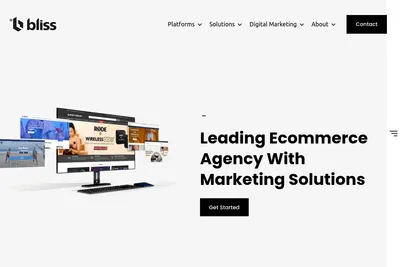 Screenshot of the Bliss Web Solution Private Limited homepage