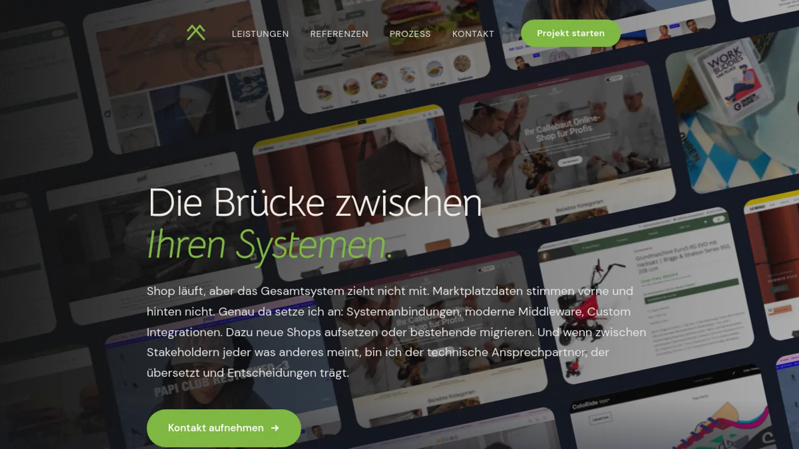 Screenshot of the Raitis Steinbergs homepage