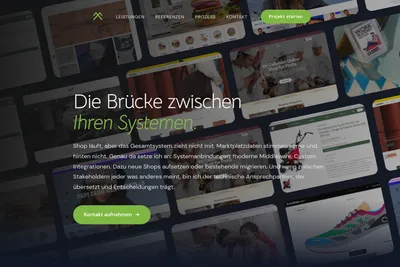 Screenshot of the Raitis Steinbergs homepage