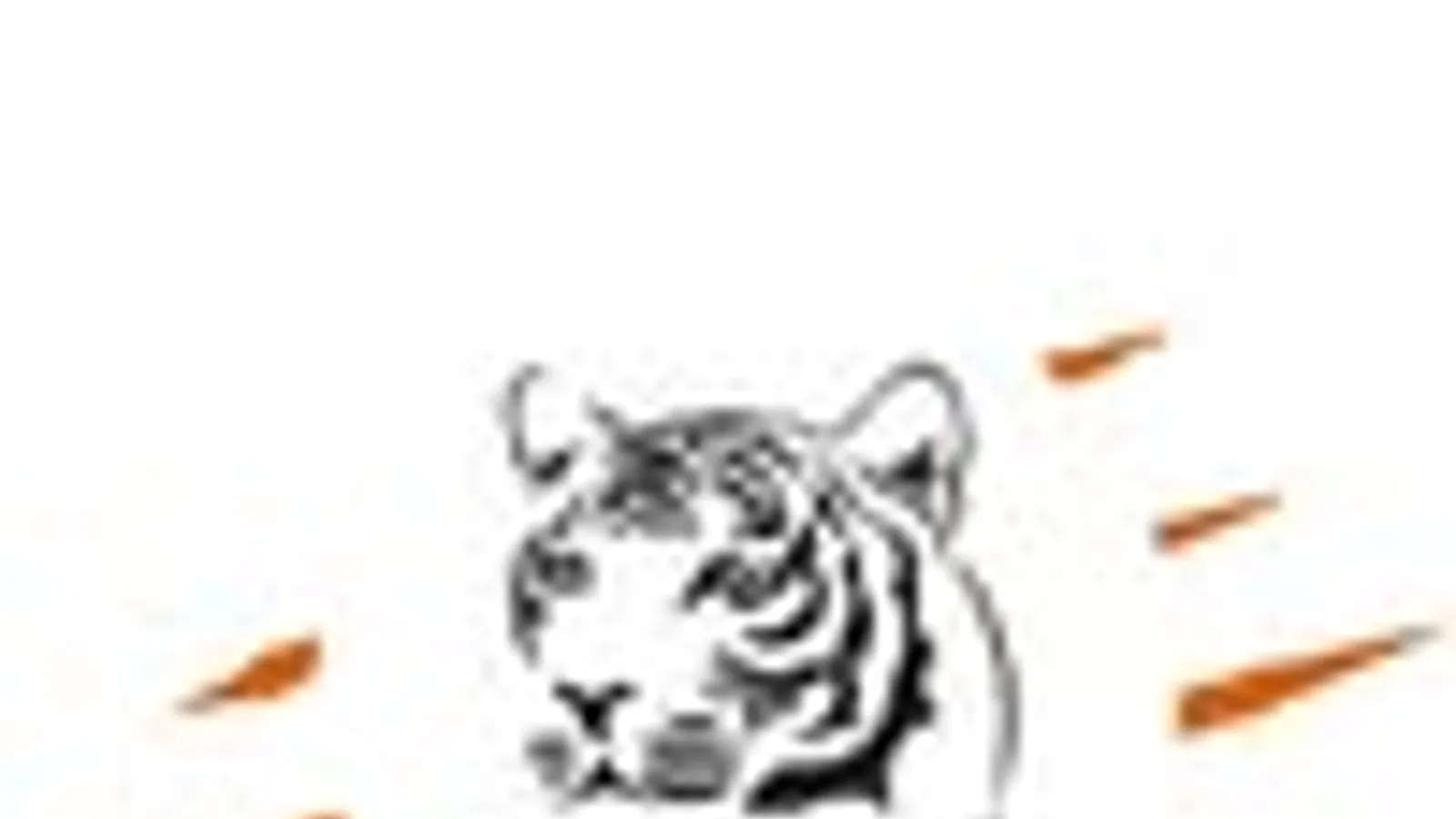 Tiger Boba