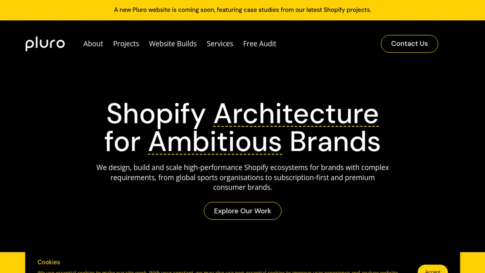 Screenshot of the Pluro homepage