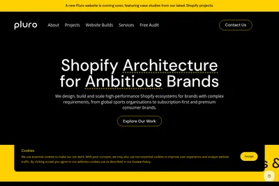 Screenshot of the Pluro homepage