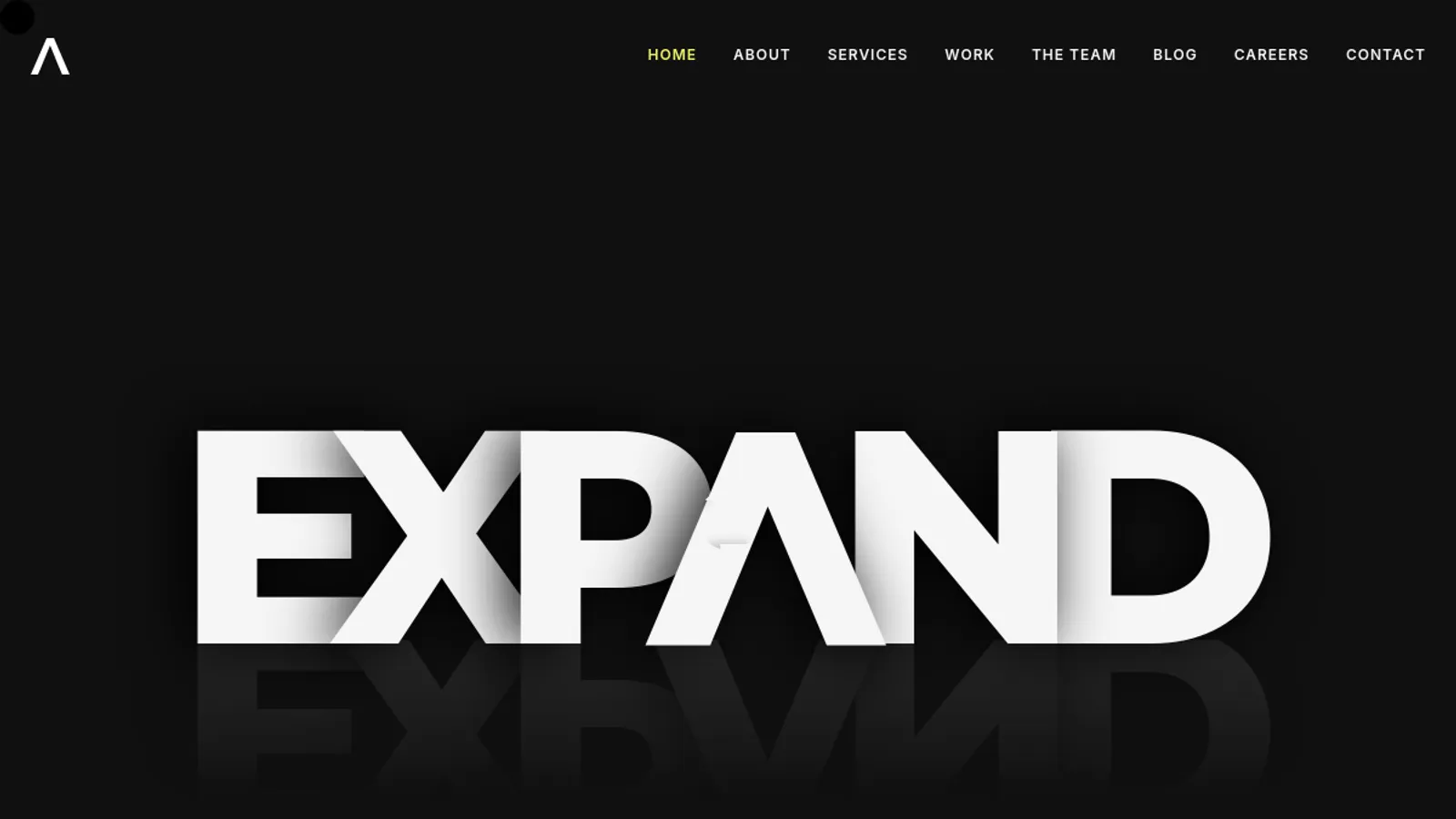 Screenshot of the Expand Agency homepage