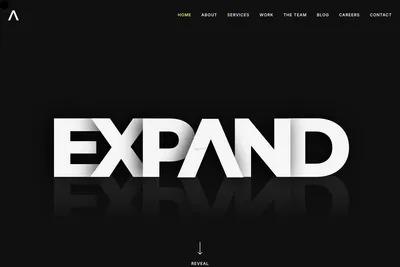 Screenshot of the Expand Agency homepage