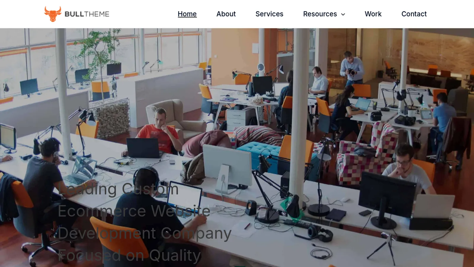 Screenshot of the BullTheme homepage