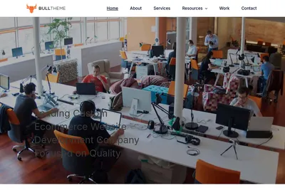 Screenshot of the BullTheme homepage