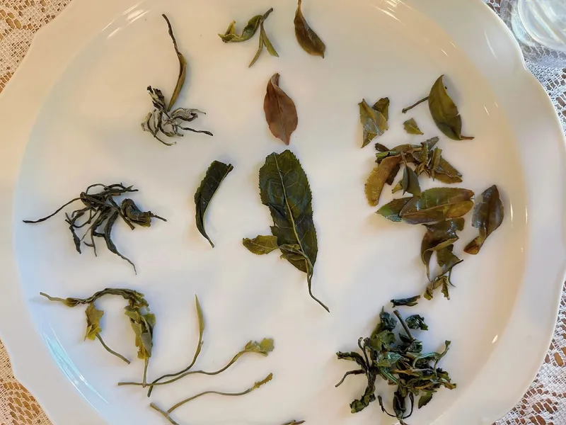 Bumblebee Flowers & Tea