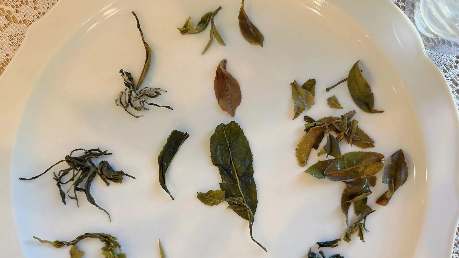 Bumblebee Flowers & Tea