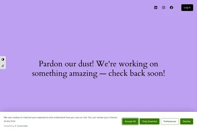 Screenshot of the SEO Tailor homepage