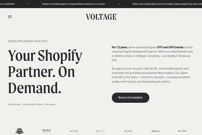 Screenshot of the Voltage New Media Inc. homepage