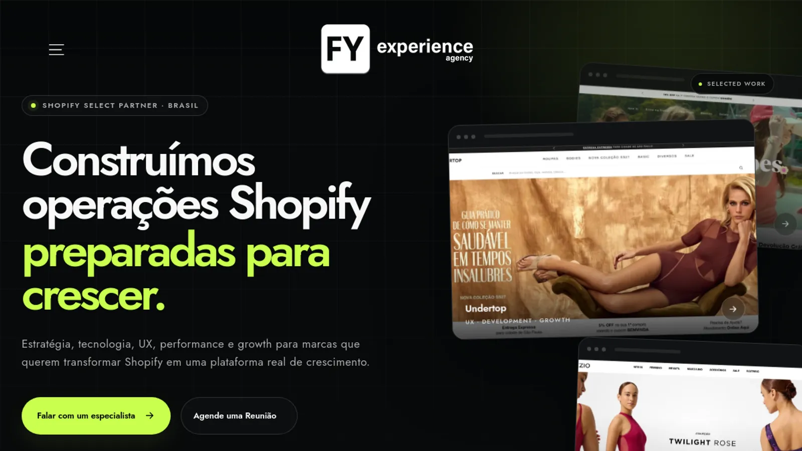 Screenshot of the Agencia FY homepage