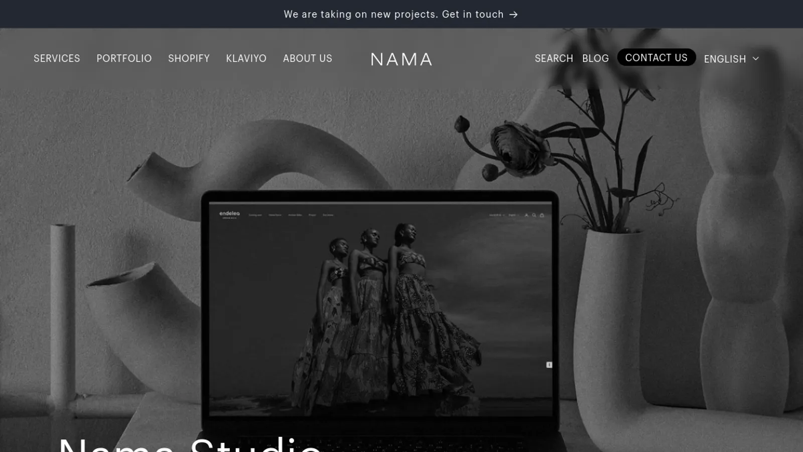 Screenshot of the NAMA homepage