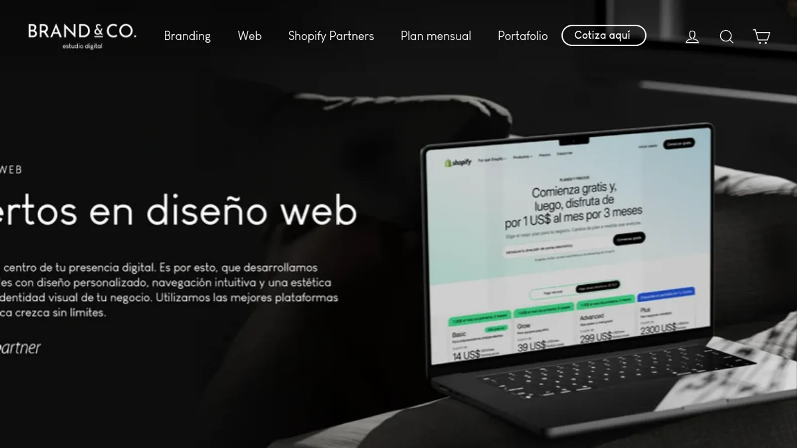 Screenshot of the Brand&Co homepage