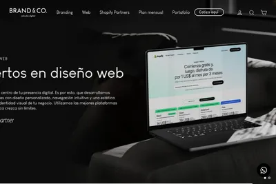 Screenshot of the Brand&Co homepage