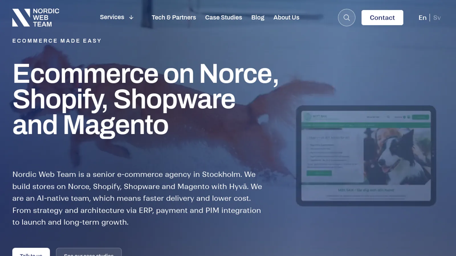 Screenshot of the Nordic Web Team Sweden AB homepage