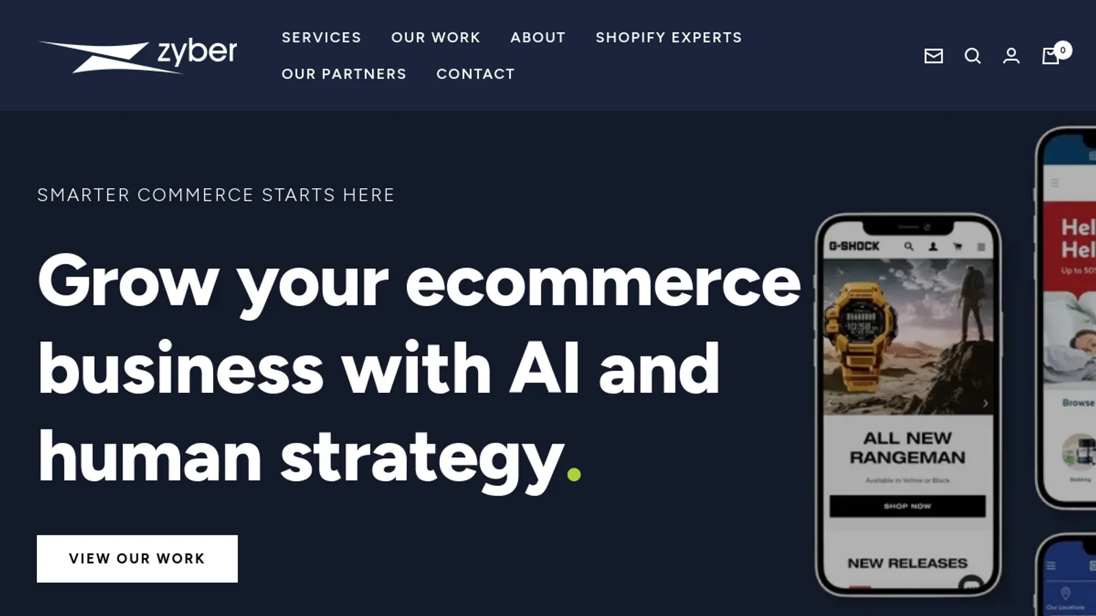 Screenshot of the Zyber homepage