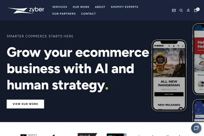 Screenshot of the Zyber homepage