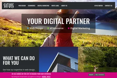Screenshot of the Siruss homepage
