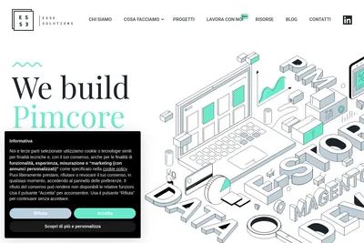 Screenshot of the Esse Solutions homepage