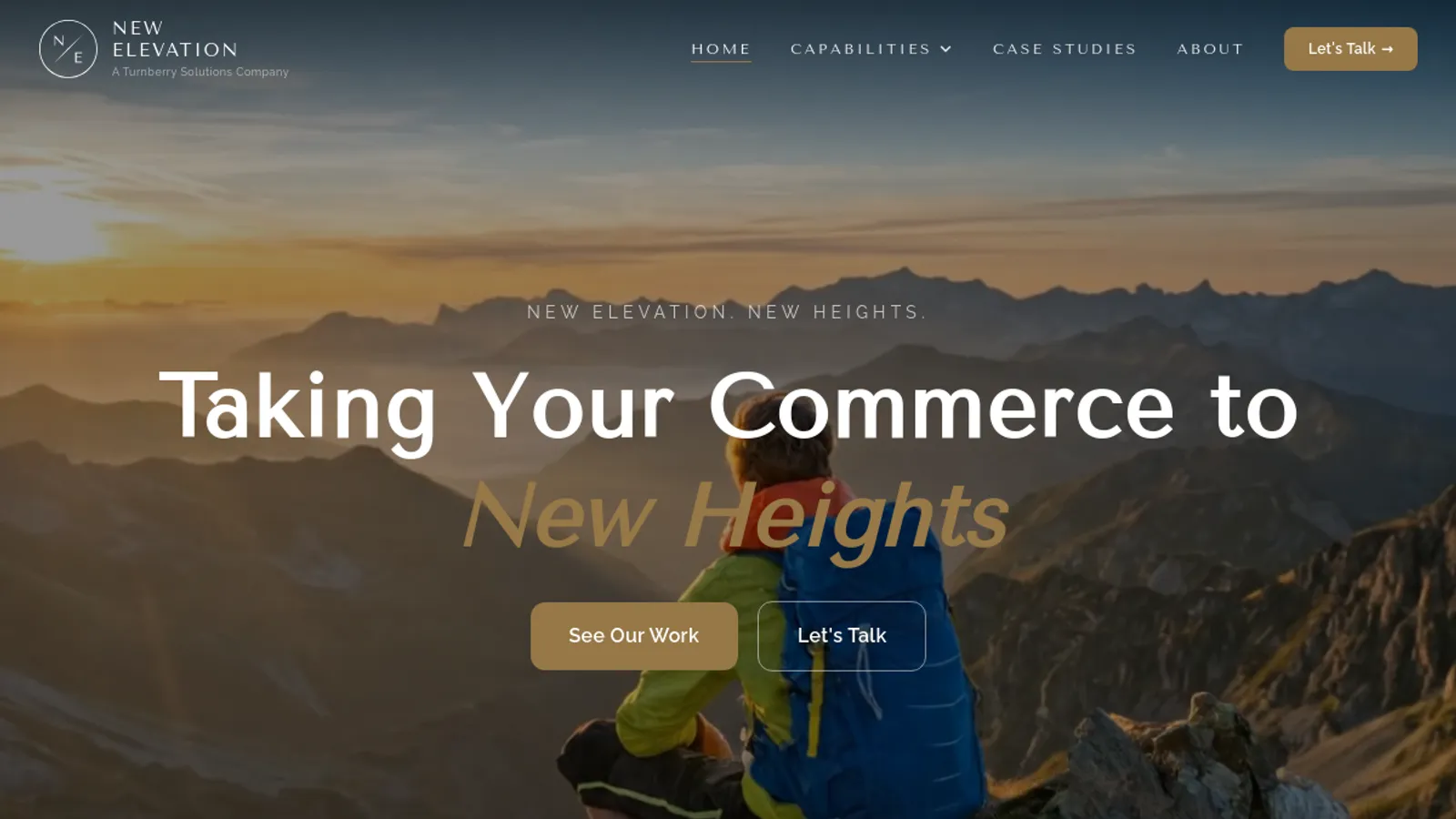 Screenshot of the New Elevation homepage