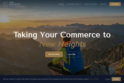 Screenshot of the New Elevation homepage