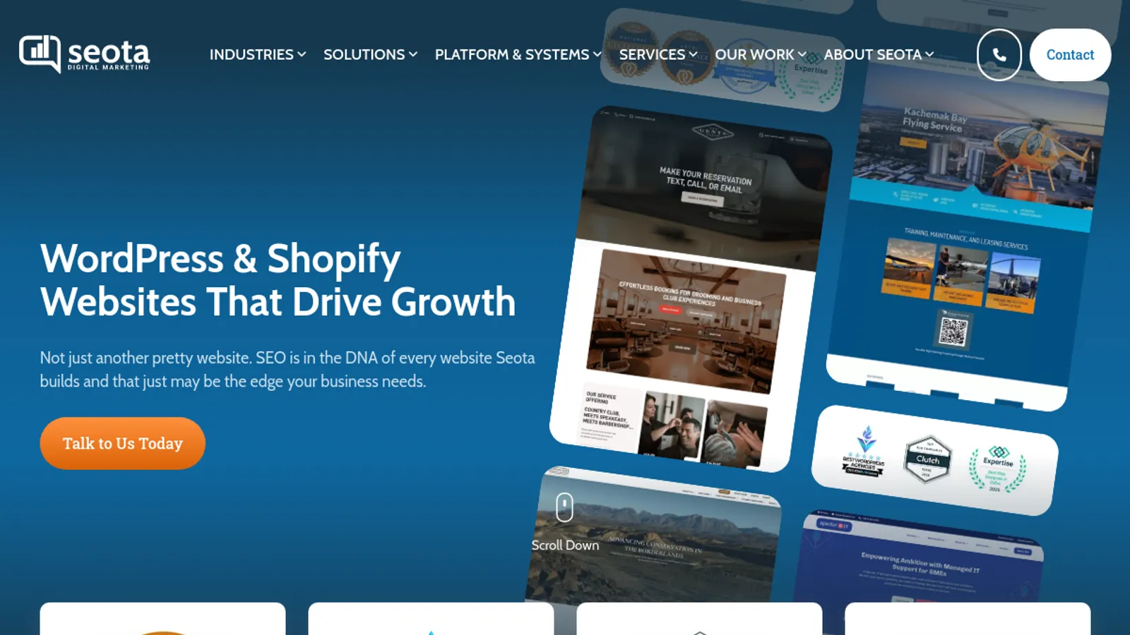 Screenshot of the Seota Digital Marketing homepage