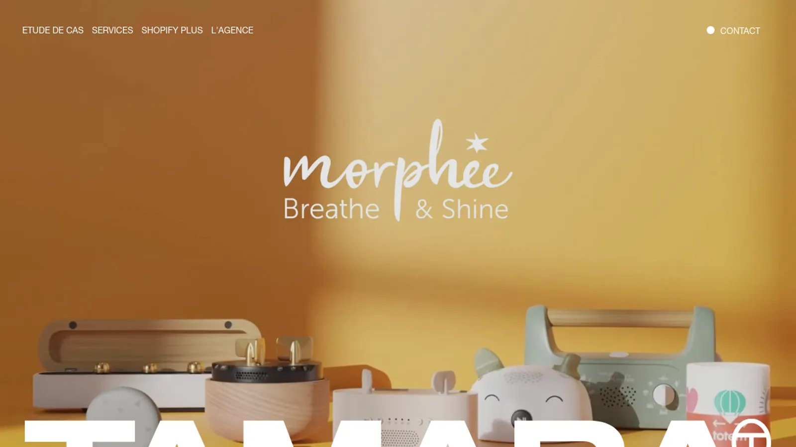 Screenshot of the Tamara Agency homepage