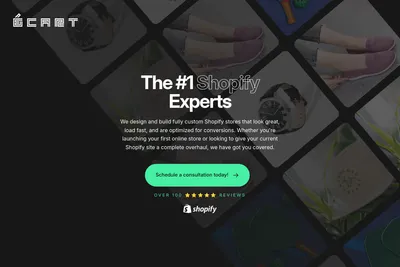 Screenshot of the eCart homepage
