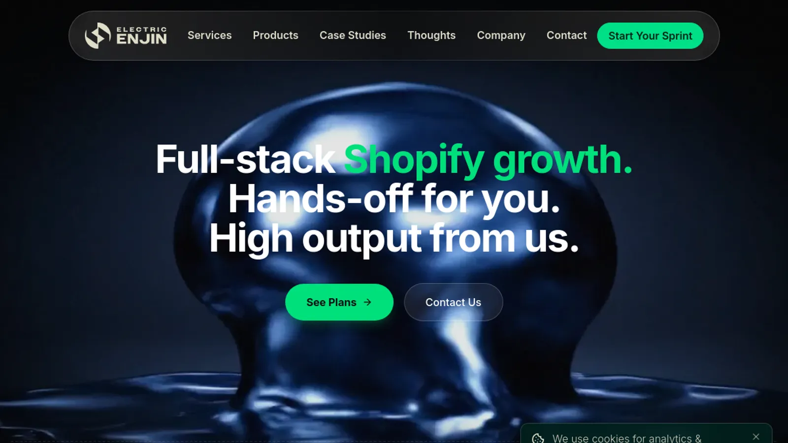 Screenshot of the Electric Enjin homepage
