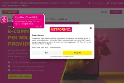 Screenshot of the NETFORMIC homepage