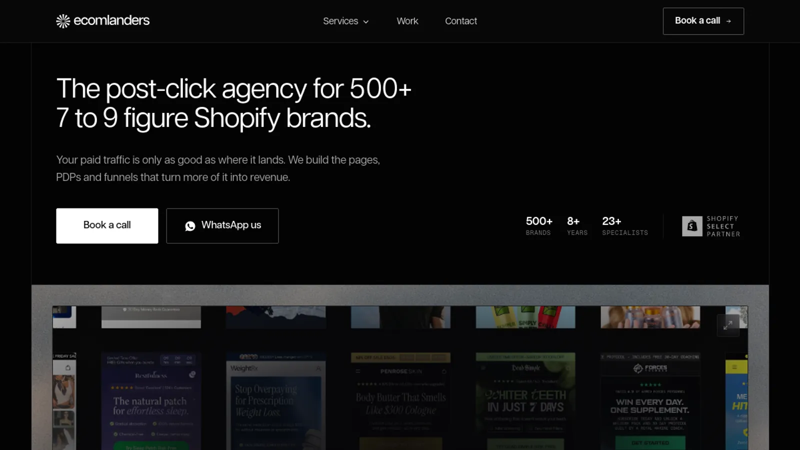 Screenshot of the Ecom Landers homepage