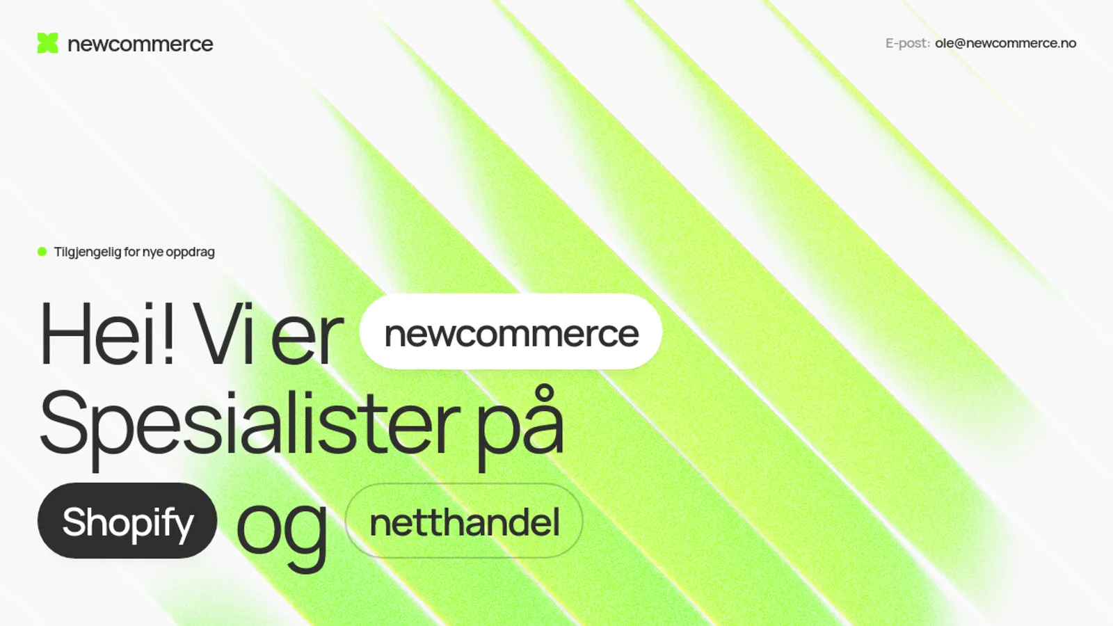 Screenshot of the newcommerce homepage