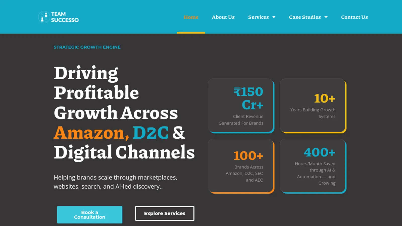 Screenshot of the TeamSuccesso Software Pvt Ltd homepage