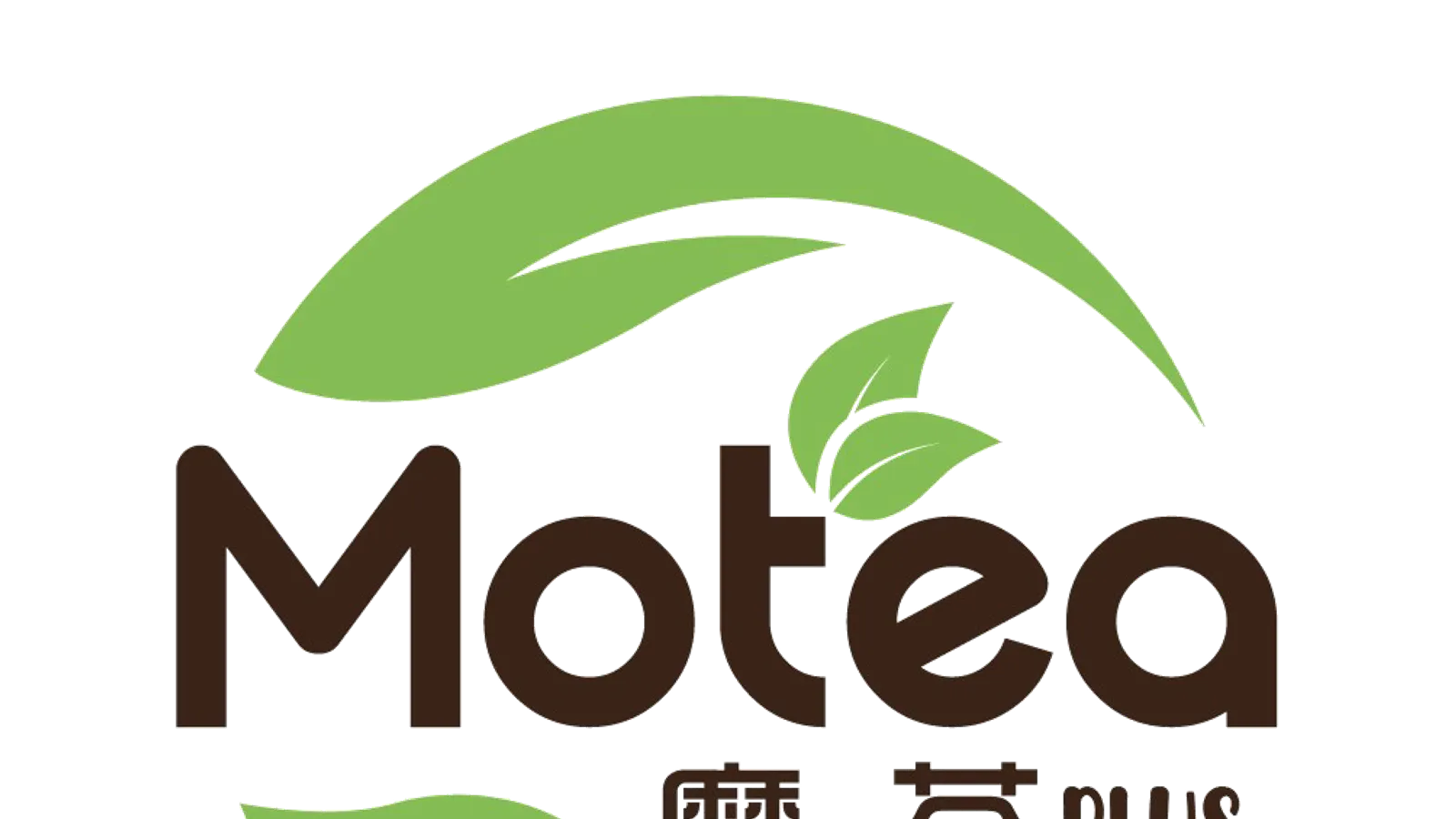 Motea - Tinley Park: Rolled Ice Cream, Smoothies, Bubble Tea, & Kitchen
