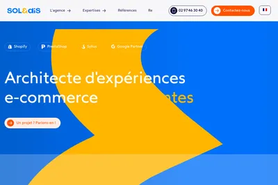 Screenshot of the Soledis homepage