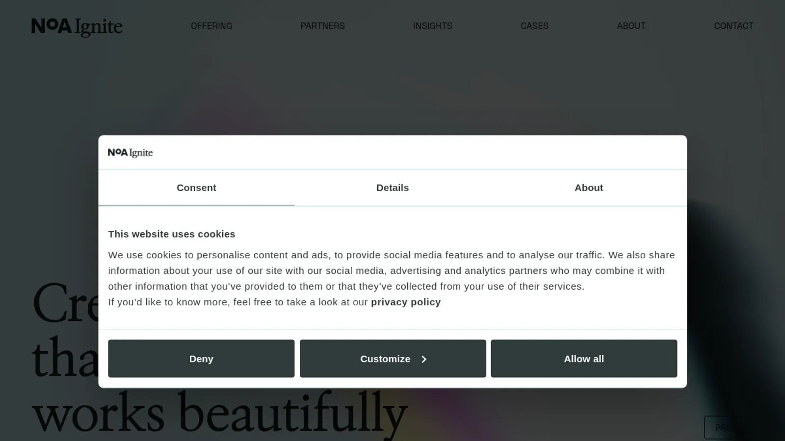 Screenshot of the Noa Ignite Poland homepage