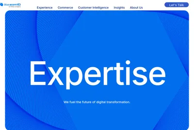Screenshot of the Blue Acorn iCi homepage