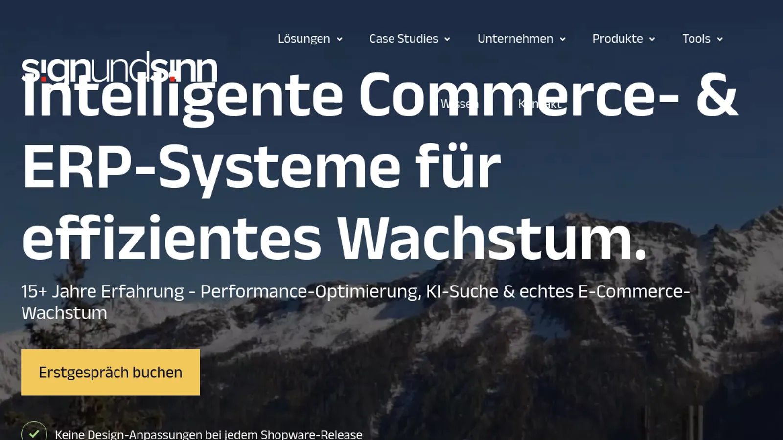 Screenshot of the signundsinn GmbH homepage