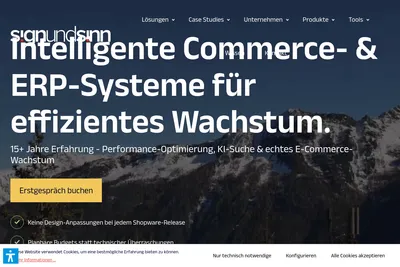 Screenshot of the signundsinn GmbH homepage