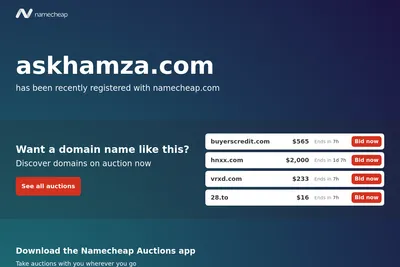 Screenshot of the askHamza homepage