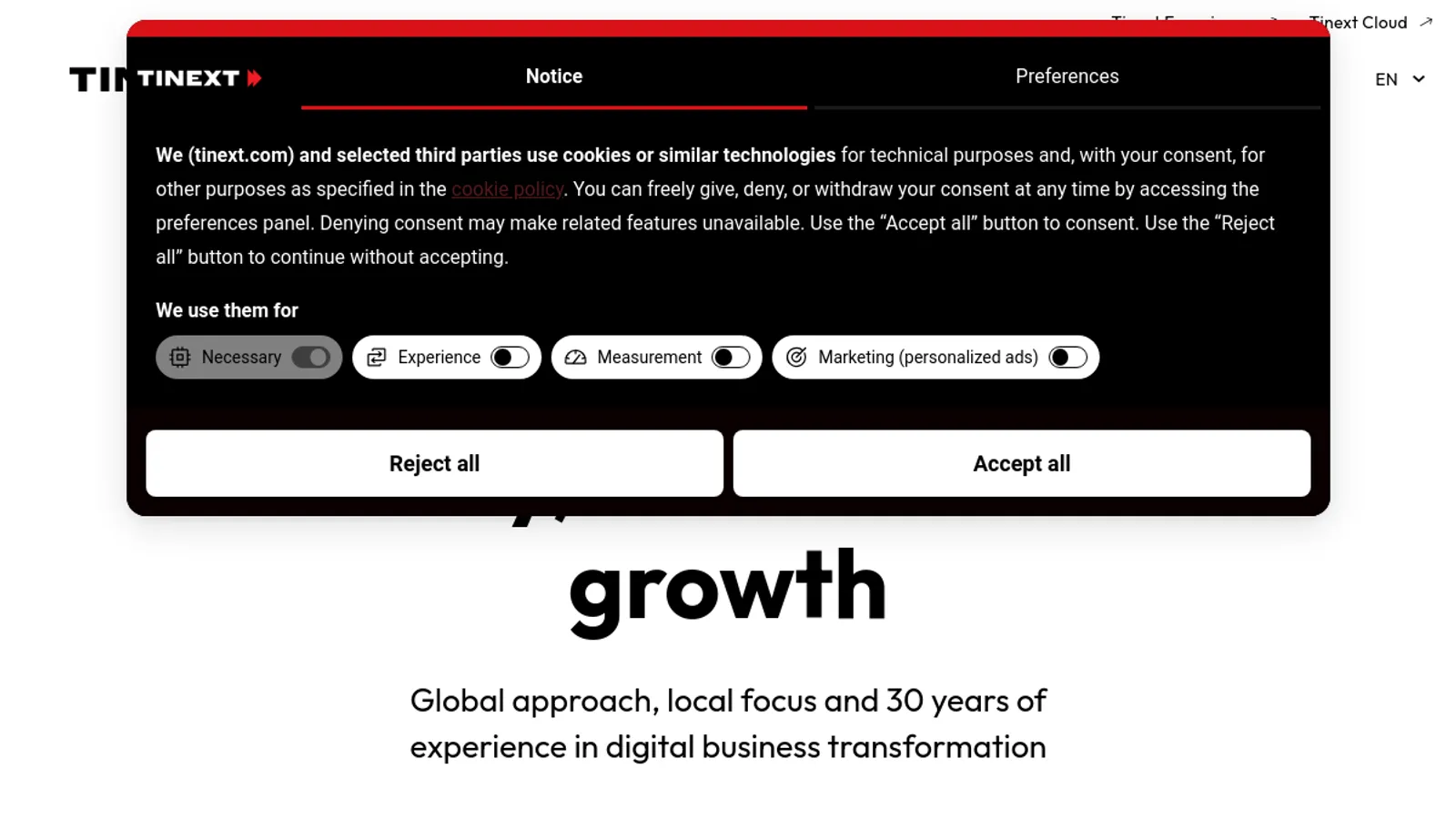 Screenshot of the TINEXT Italia Srl homepage
