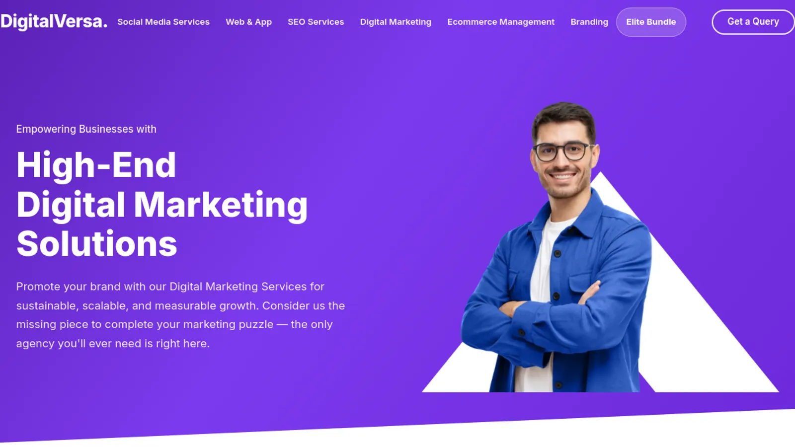 Screenshot of the Digital Versa homepage