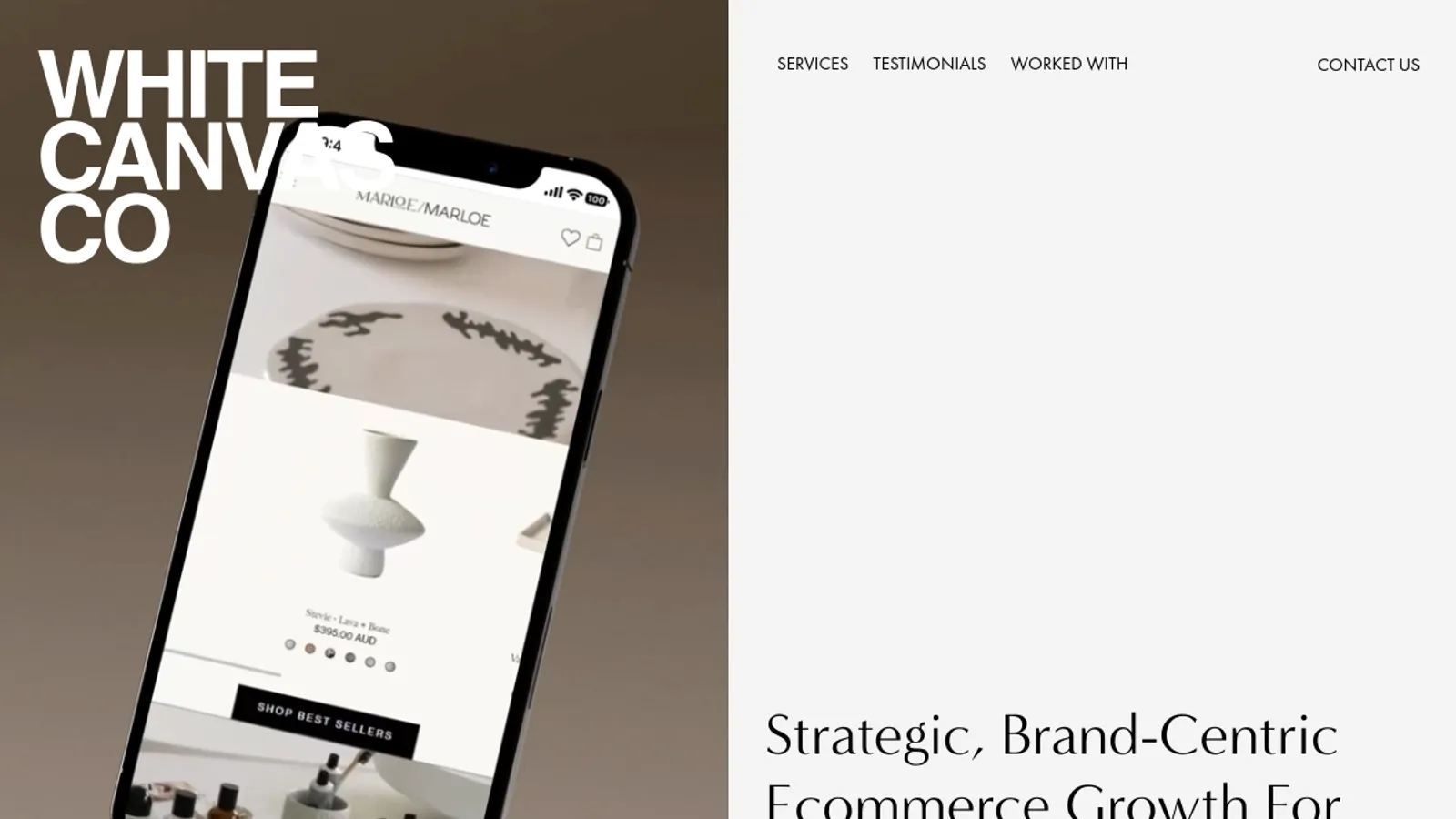 Screenshot of the White Canvas Co. homepage