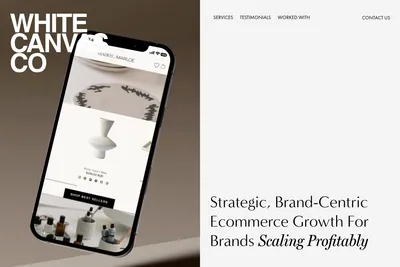 Screenshot of the White Canvas Co. homepage